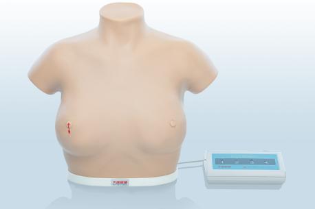 電子乳腺癌觸診、視診訓(xùn)練模型